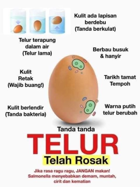 WhatsApp Image 2022 11 29 at 11.37.31 AM