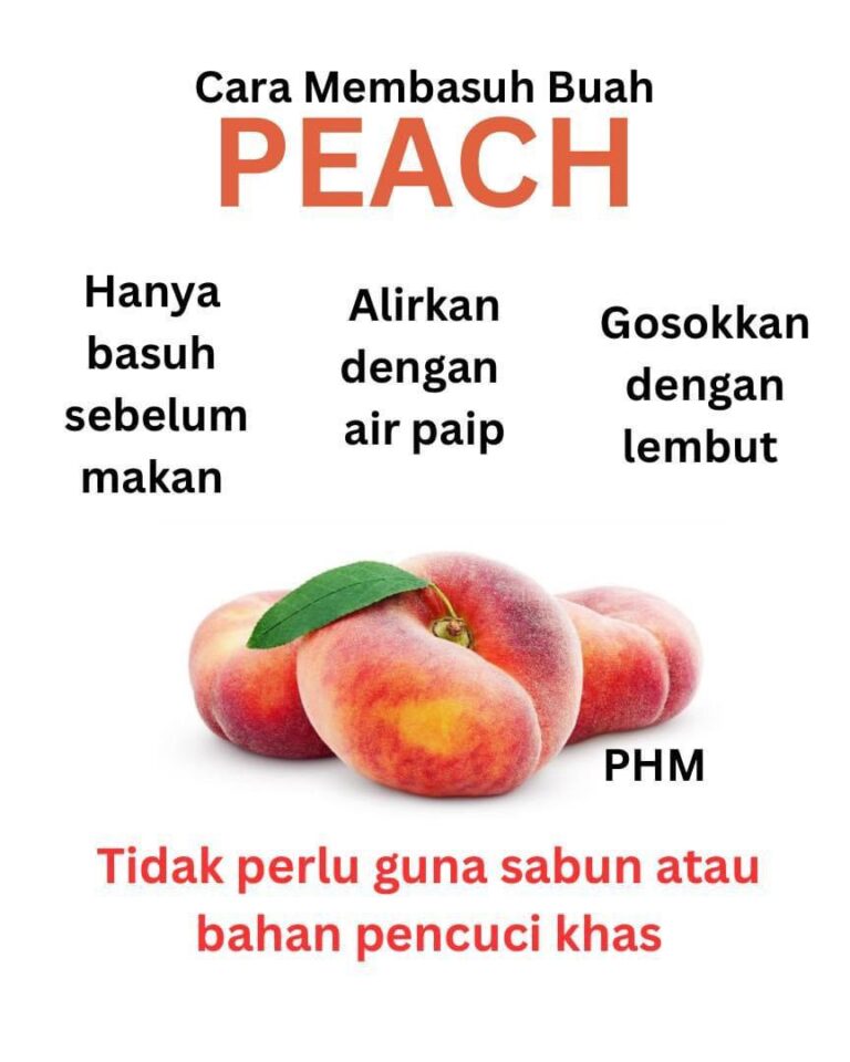 WhatsApp Image 2023 08 04 at 11.43.02 AM